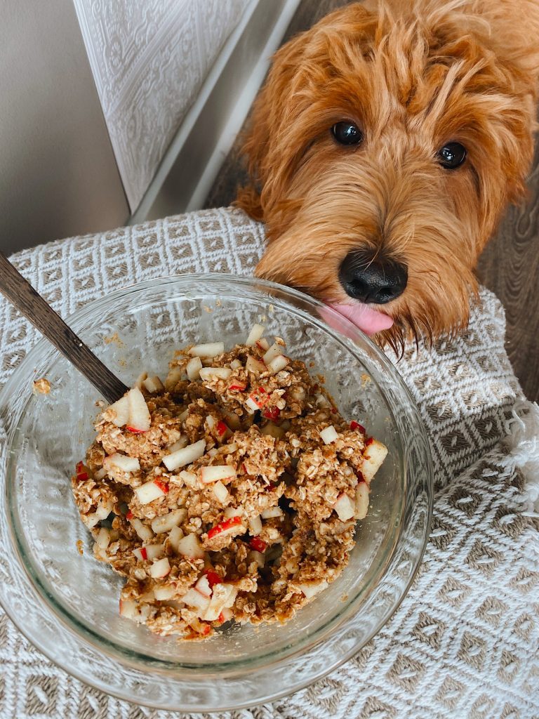 mixing bowl filled with energy balls with puppy licking near the bowl