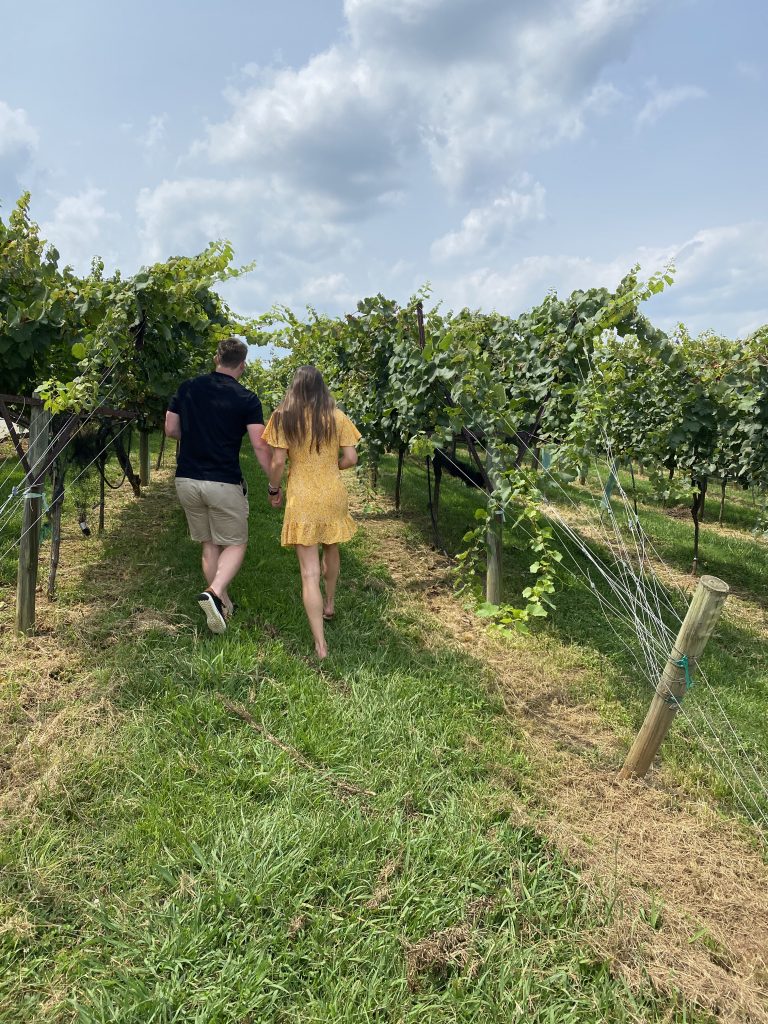 couple holding hands walking into a vineyard
