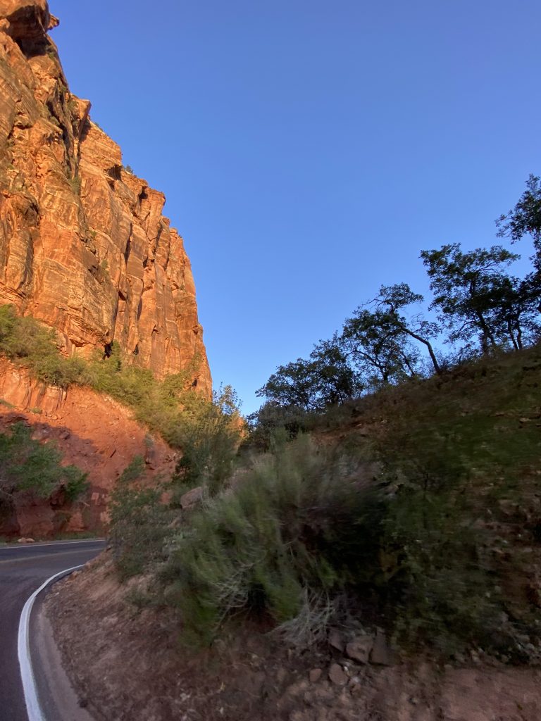 driving through Zion National Park at sunset