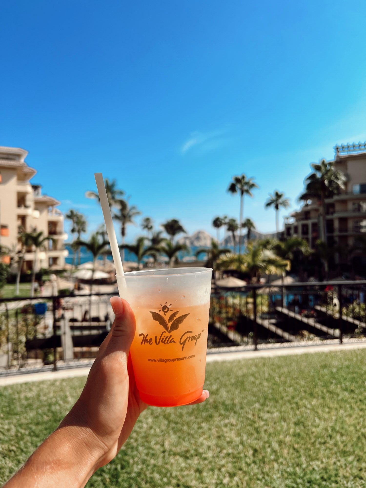 hand holding a cup of Mai Tai drink with palm trees in the background.