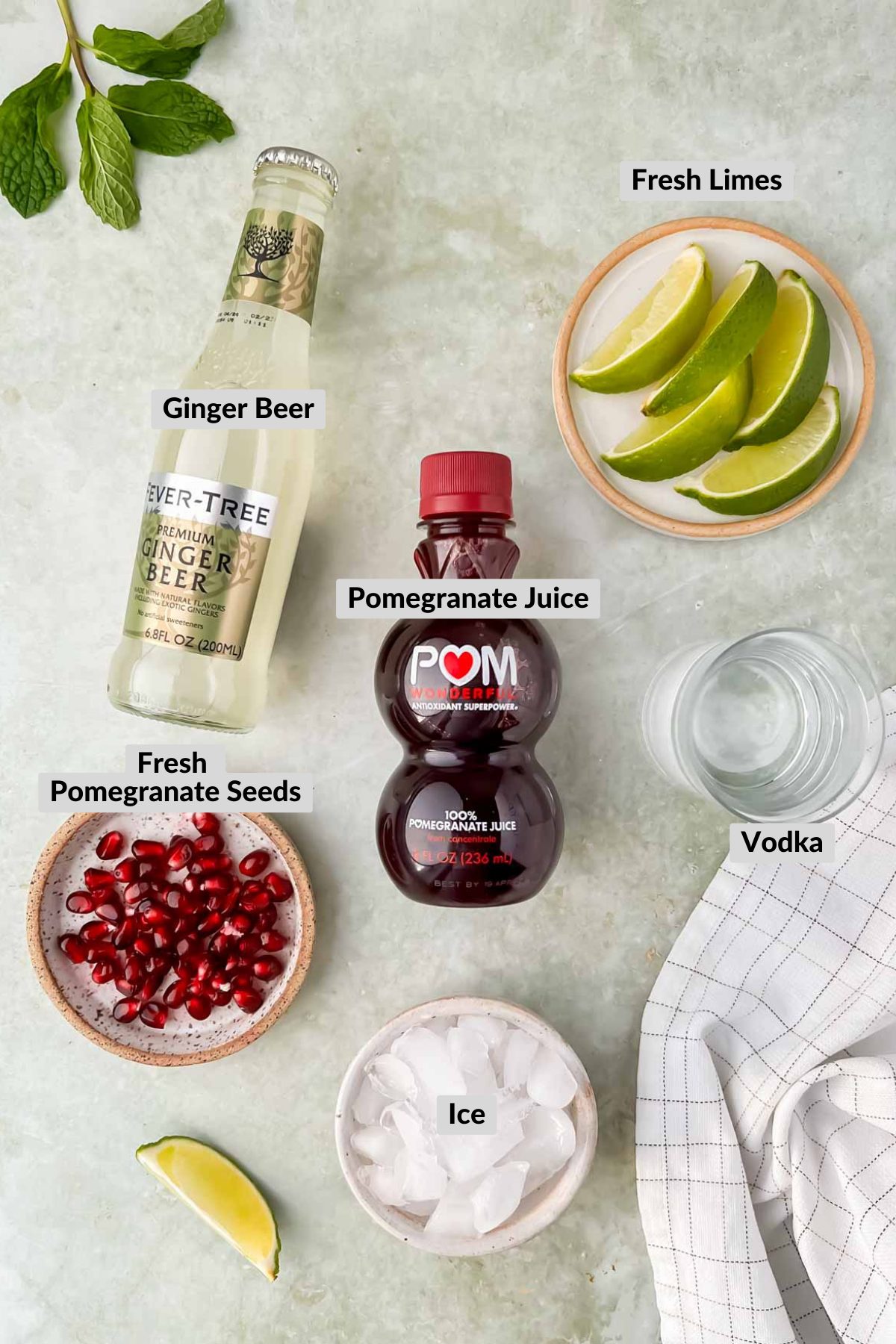 labeled ingredients for pomegranate moscow mule.